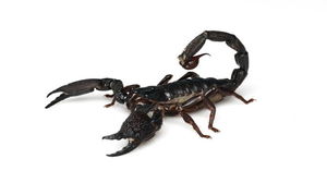 1774007152_69bd336fa2b52