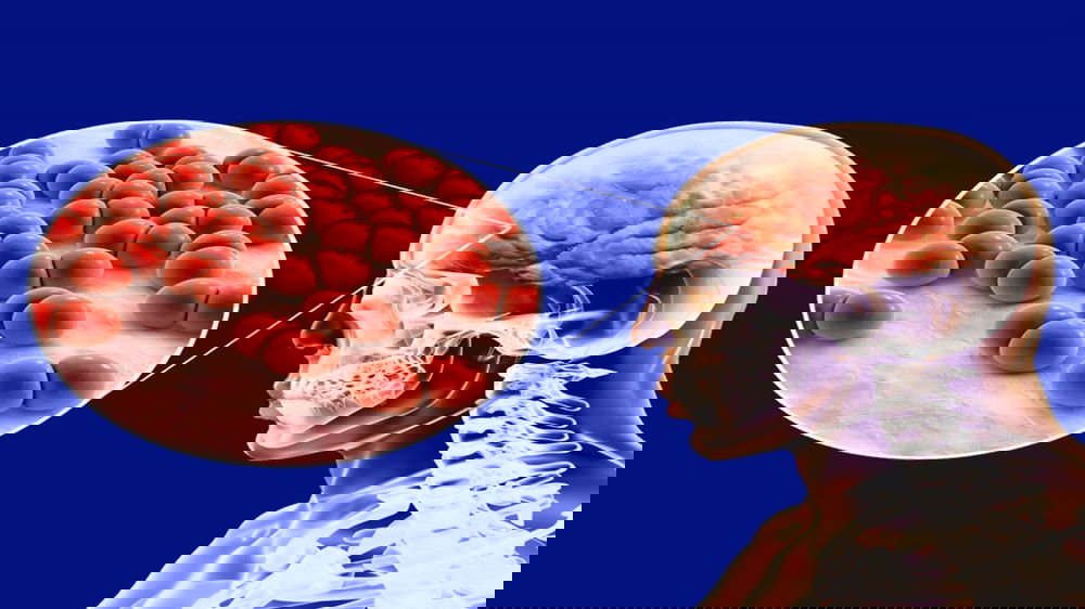 Meningite B, cresce l’attenzione sul possibile “super ceppo”: focolaio anomalo nel Regno Unito