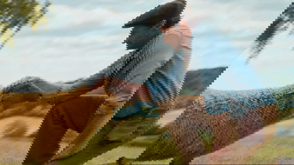 Un mistero fuori dal gregge: pecore detective conquistano il grande schermo