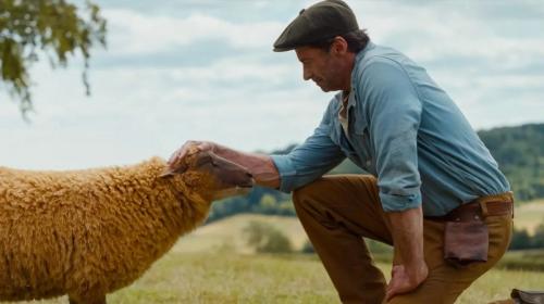 Un mistero fuori dal gregge: pecore detective conquistano il grande schermo