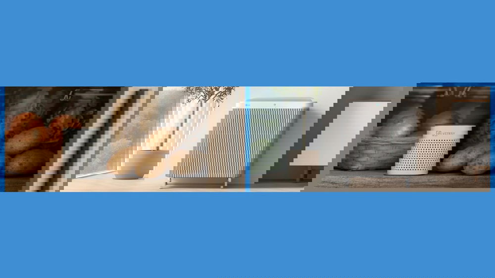 Purificatori per ogni esigenza: dal frigorifero al soggiorno, le nuove soluzioni smart di Vitesy e LG