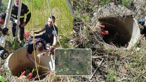 1774722379_69c81d4a9801f