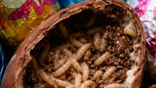 Uova di Pasqua contaminate, scatta la chiusura: controlli serrati dopo la scoperta durante una gita scolastica