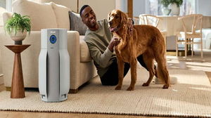 1775736865_69d7982136cea