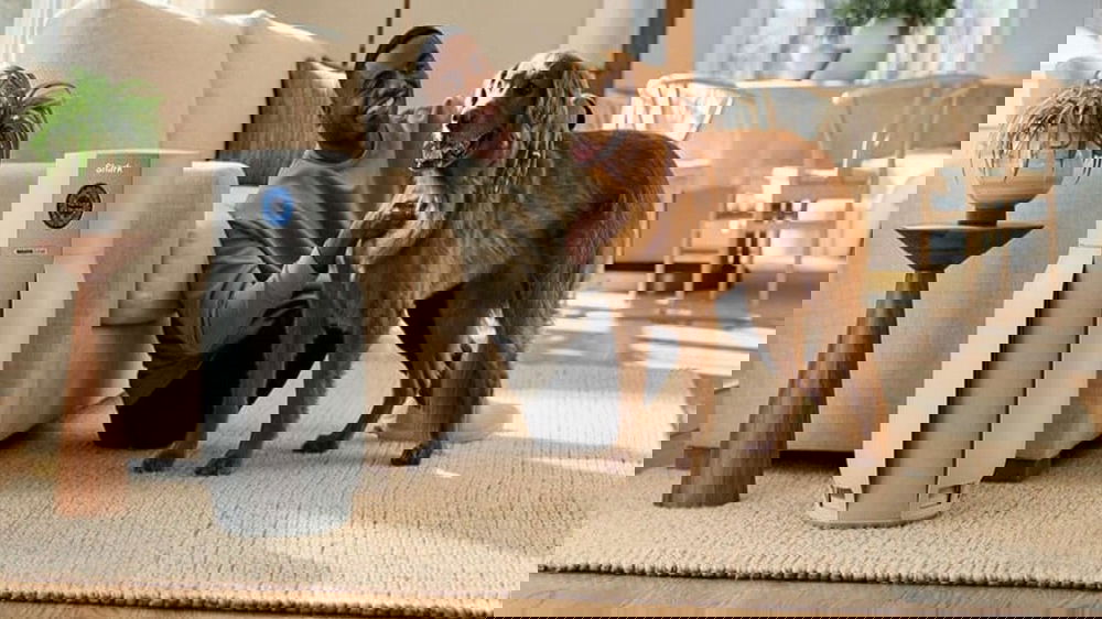 Shark BreatheClear Max: sei anni di aria pura senza pensieri