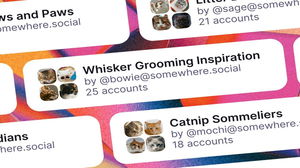 1775754848_69d7de5ecf866