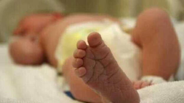 Roma, neonato salvato a Pietralata: intervento della Polizia Locale dopo una segnalazione ospedaliera