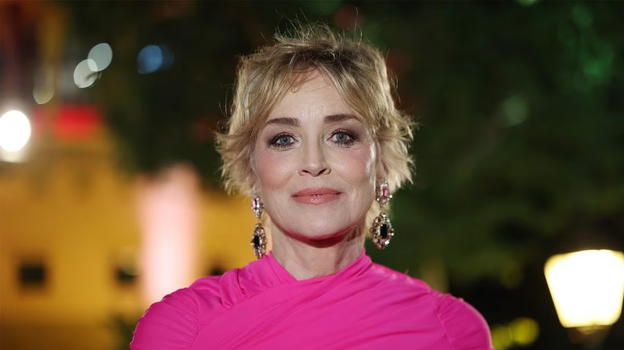 Sharon Stone tra fama e conseguenze: il lato nascosto di un’icona