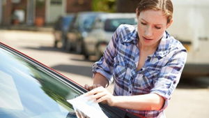 1776679121_69e5f8d05b4eb