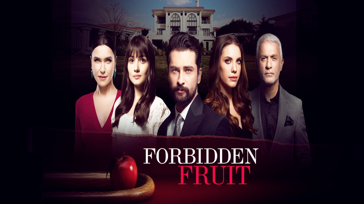 Forbidden Fruit 3 anticipazioni puntate 11-17 maggio, Ender accusa Sahika, Leyla è incinta di Halit?