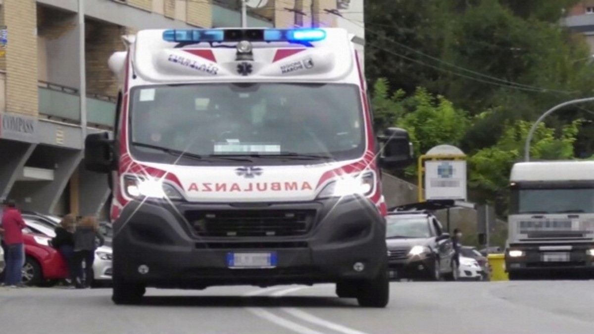 Vicentino, episodio sul lavoro irregolare: indagini su un caso avvenuto in un’azienda agricola