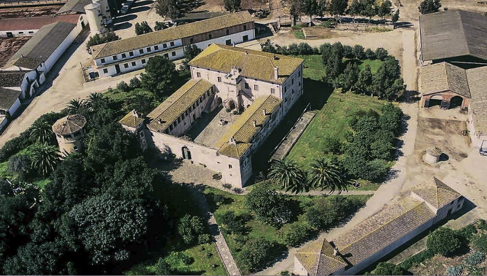 Favella: passione e qualità