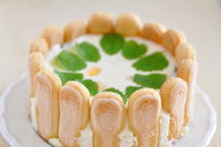 Charlotte con crema al limone