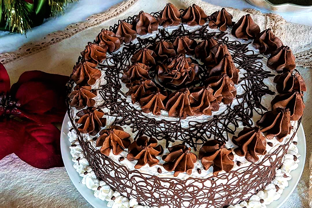 Sponge cake al cacao con camy cream e decorazioni al cioccolato - Fidelity  Cucina