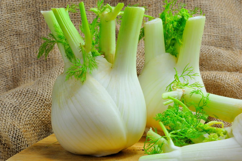 Come cucinare i finocchi ricette al forno e in padella Fidelity Cucina
