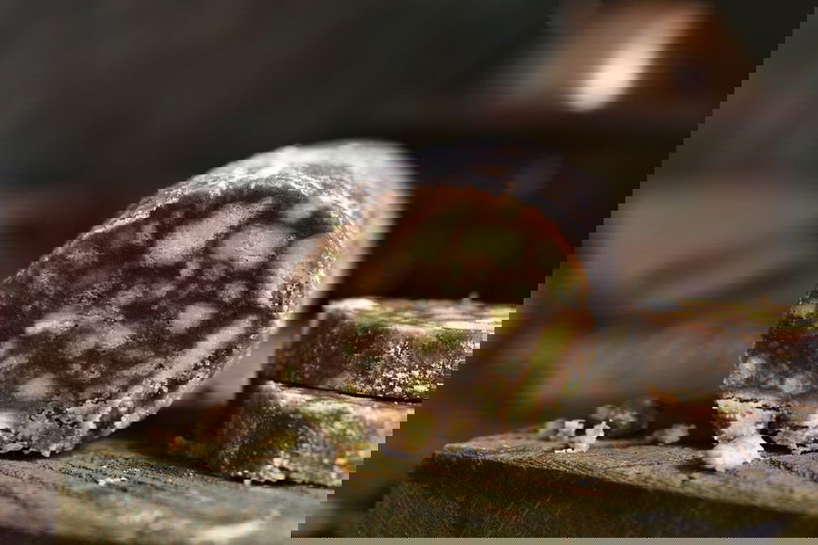 Salame di cioccolato Bimby