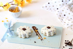 Semifreddo alla ricotta con gocce di cioccolato