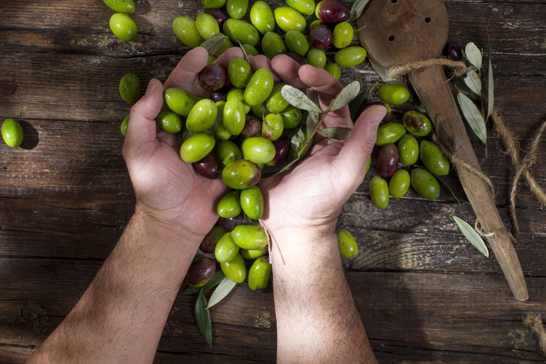 Come Conservare Le Olive Olive In Salamoia Sotto Sale O Olive Sott Olio Fidelity Cucina