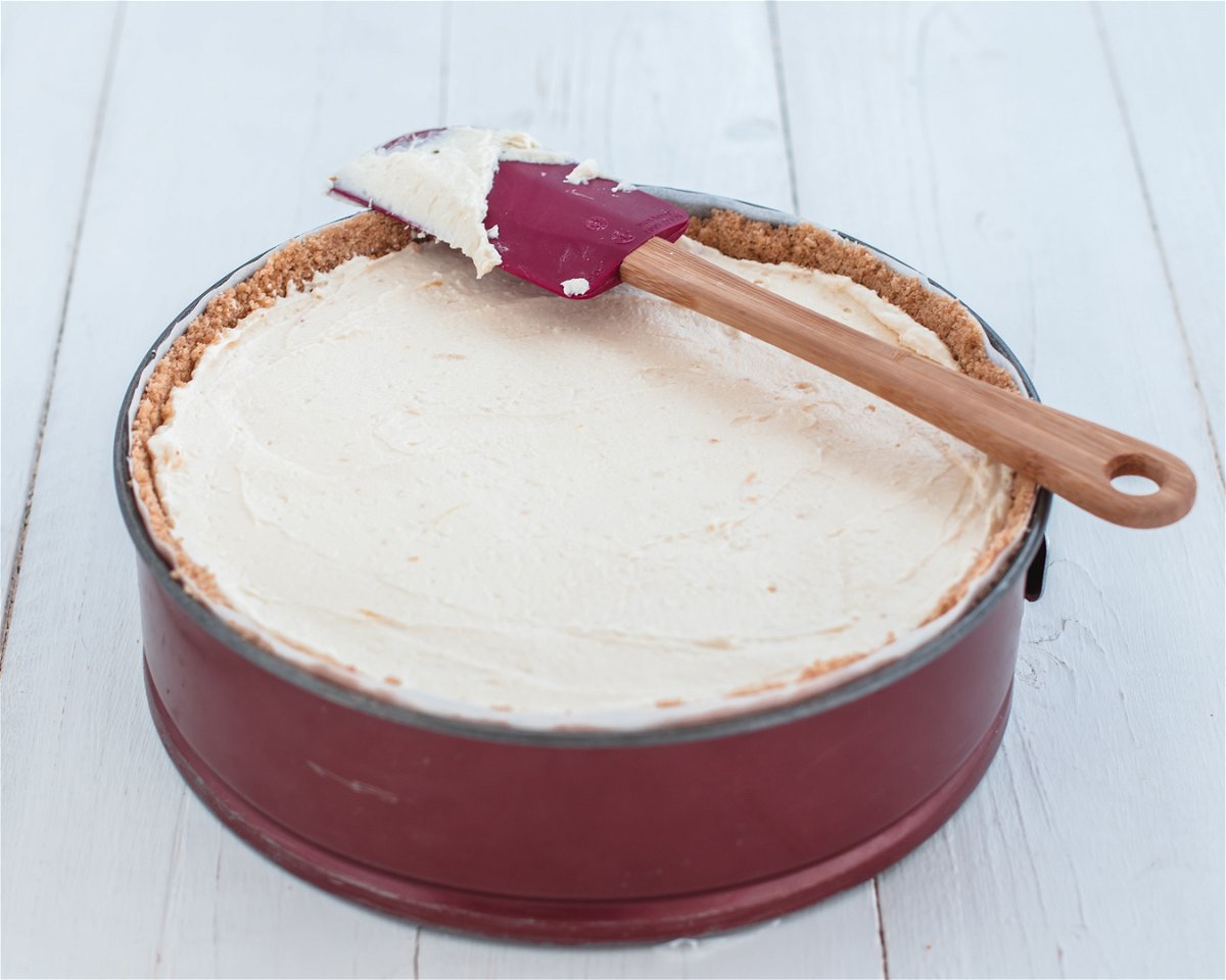 cheesecake-cioccolato-bianco-e-cocco