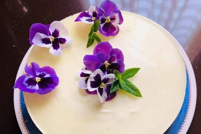 Cheesecake al limoncello con violette
