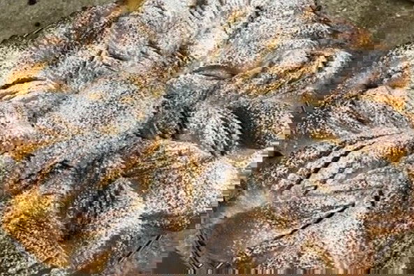 Cinnamon Love: dolce lievitato alla cannella