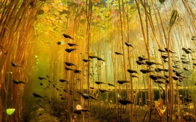6 scatti incredibili che dimostrano come la realtà può superare la fantasia