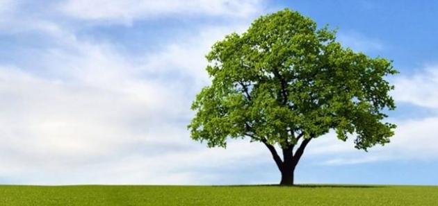 La prima cosa che vedi ti dirà molto su chi sei veramente