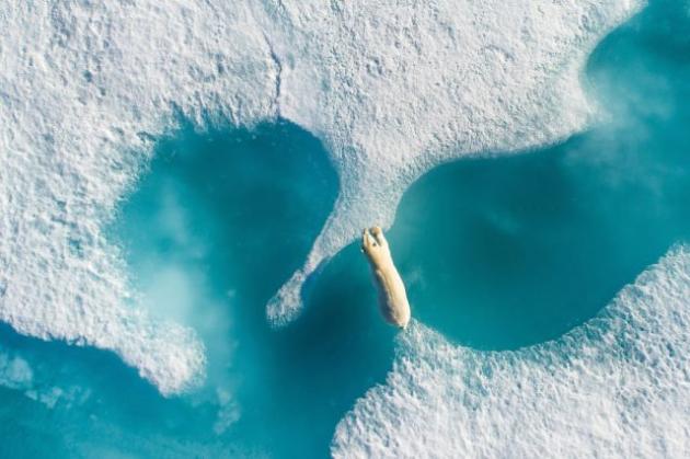 Le migliori foto scattate coi droni nel 2017 secondo Dronestagram: quale preferisci?
