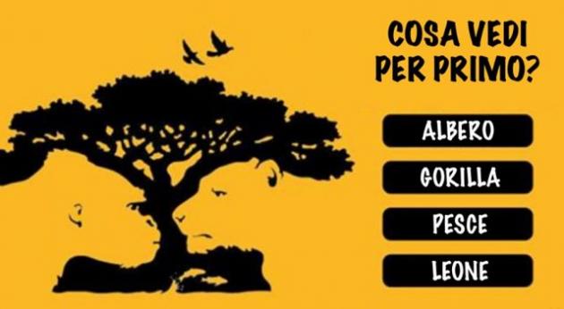 La prima cosa che vedi ti dirà molto su chi sei veramente