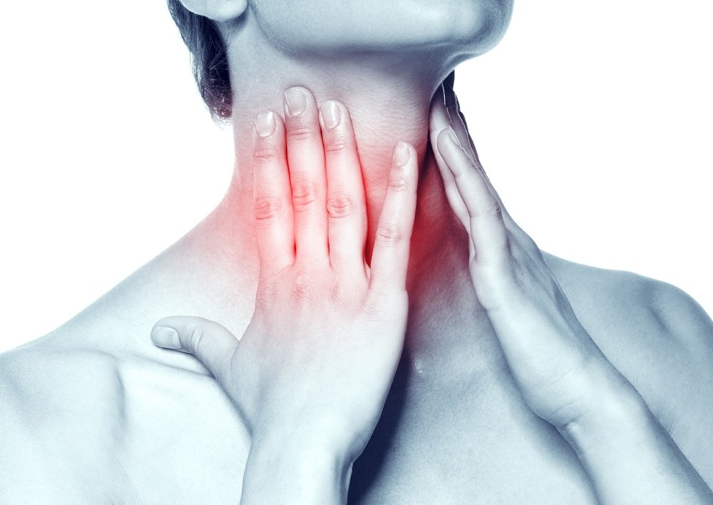 La saliva è secreta da tre coppie di ghiandole localizzate nel cavo orale.