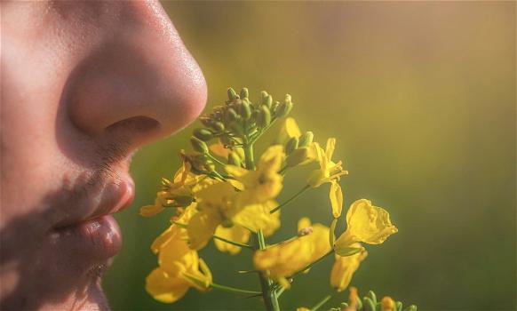 Anosmia: sintomi, cause e cura per la perdita dell’olfatto