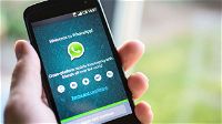 WhatsApp: ecco come scoprire con chi si chatta più spesso e liberare spazio