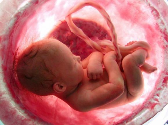 Ecco come far sviluppare l’intelligenza del proprio bambino ancora prima della nascita