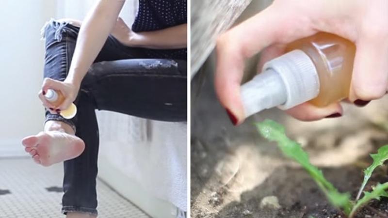 Aceto di mele: ecco gli usi che ancora non conosci