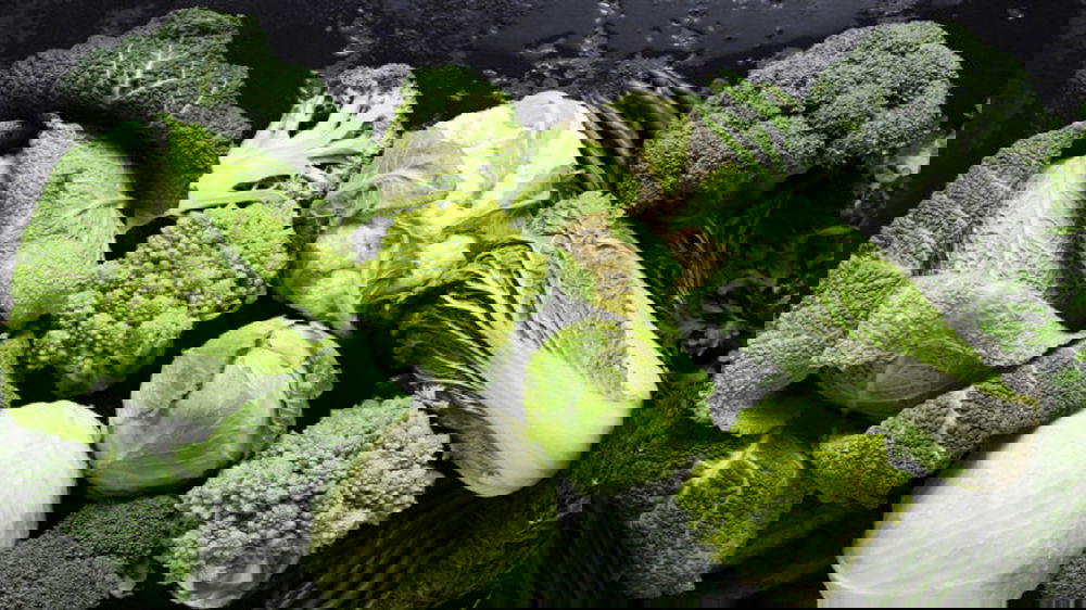 Ecco quali sono gli alimenti brucia grassi per tornare in forma