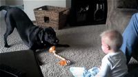 Il cane tenta in ogni modo di far divertire il bambino. La reazione del piccolo è sorprendente!