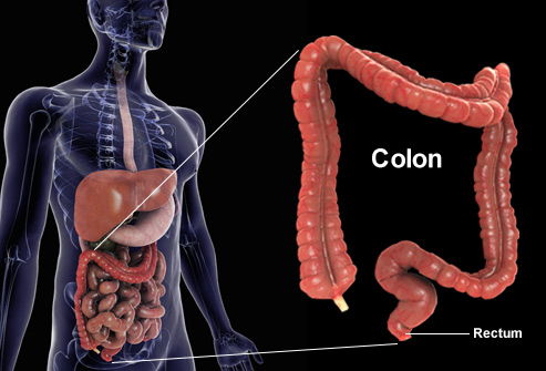 Volete liberarvi dalle tossine? Ecco la miscela che fa per voi, è 100% naturale