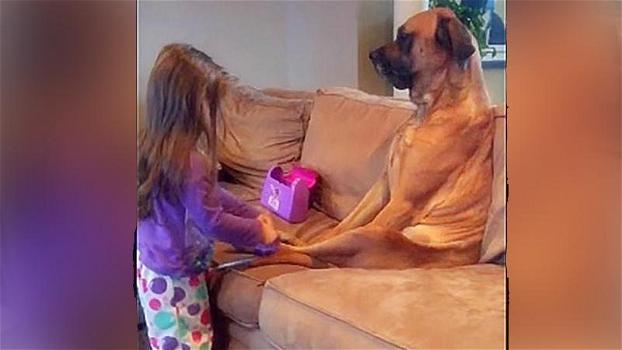 La mamma nota il cane seduto sul divano. Poi scopre cosa fa sua figlia e riprende tutta la scena!