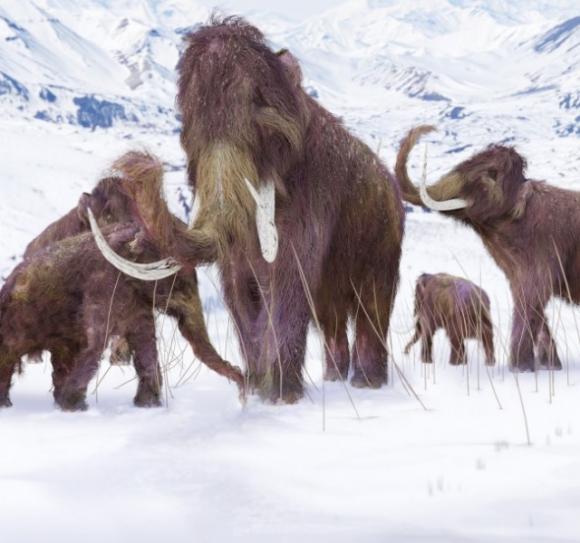 Sei cose reali che non avresti mai detto fossero vere sul serio