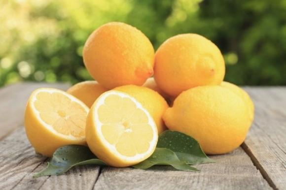 Alcuni rimedi naturali per allontanare le formiche da casa