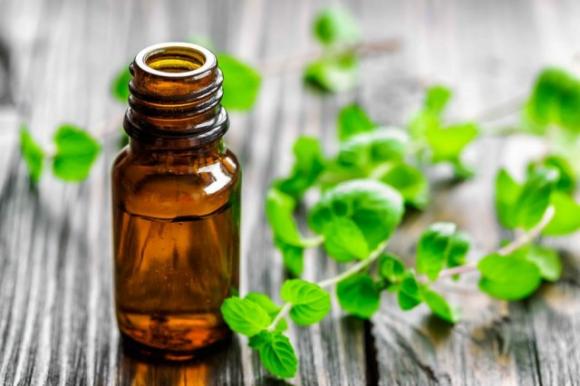 Alcuni rimedi naturali per allontanare le formiche da casa