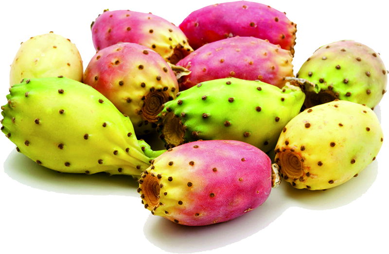 Fico d’India: proprietà, calorie e valori nutrizionali