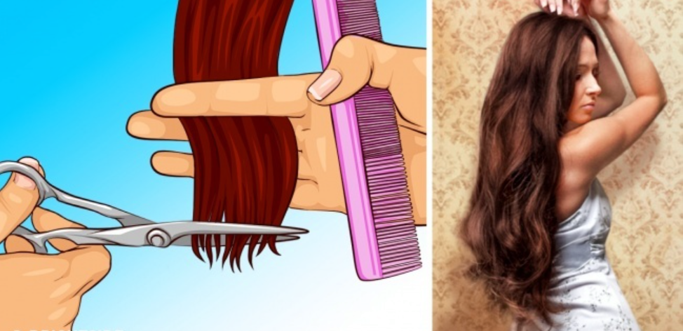 11 falsi miti che ci impediscono di avere capelli lunghi ed in salute