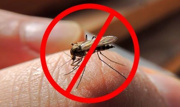 10 modi di utilizzare gli oli (essenziali e non) che cambieranno la tua vita