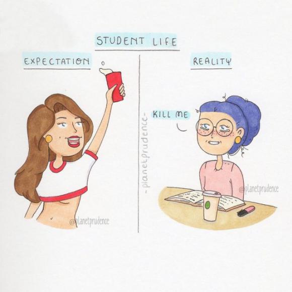 Le vignette di questa illustratrice spiegano benissimo le differenze tra aspettative e realtà