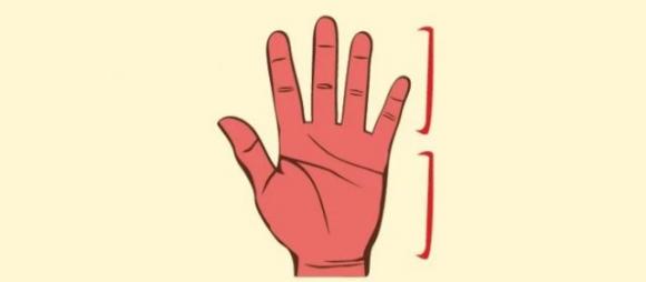 Scopri cosa il palmo della tua mano può dirti sulla tua vita amorosa