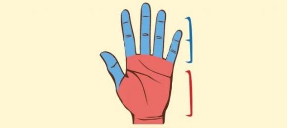 Scopri cosa il palmo della tua mano può dirti sulla tua vita amorosa