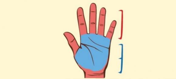 Scopri cosa il palmo della tua mano può dirti sulla tua vita amorosa