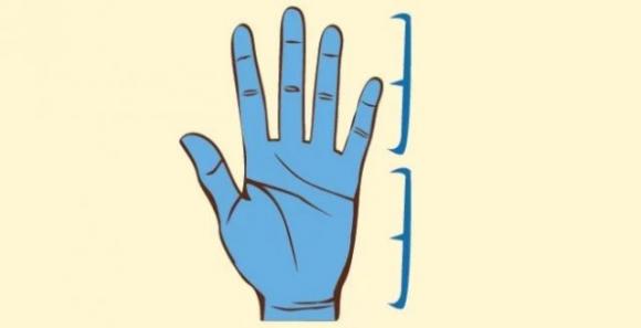 Scopri cosa il palmo della tua mano può dirti sulla tua vita amorosa