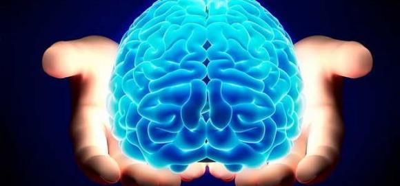Questi fatti sul cervello dimostrano che siamo in grado di fare qualsiasi cosa